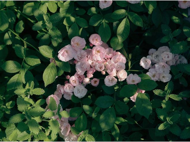 杰伦威重伤！雷霆3将伤退力克快船开局3连胜 亚历山大34+6+5